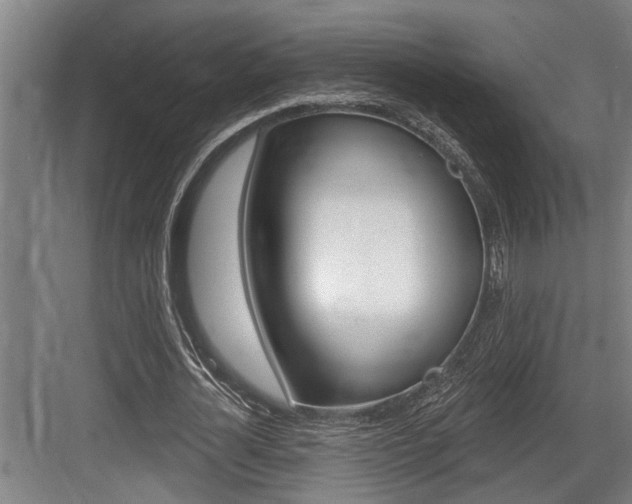 X0000083650724200702120835