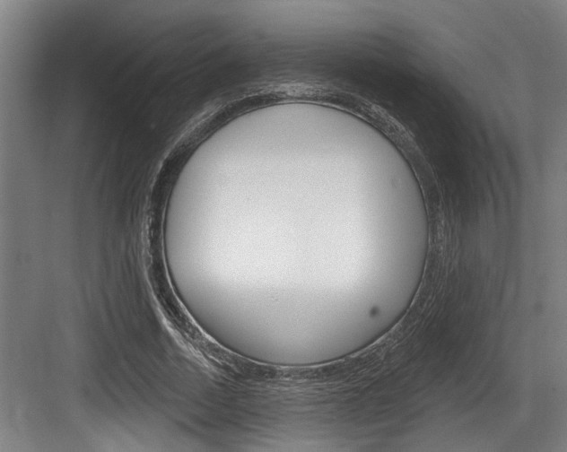 X0000083650730200702120835