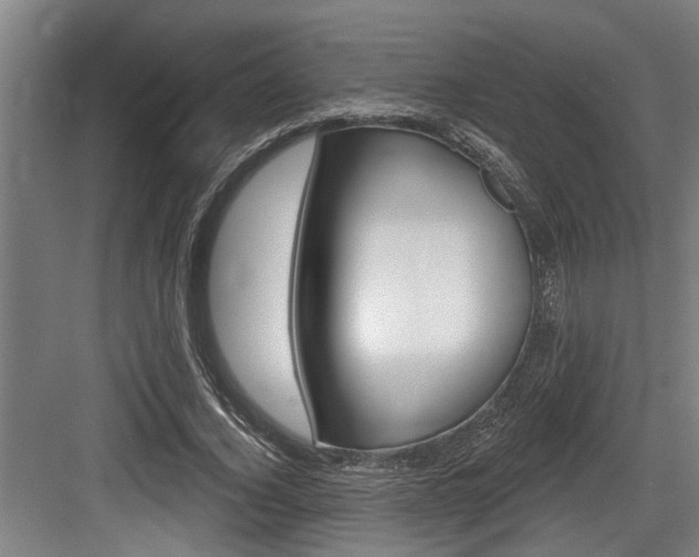 X0000083650732200702120835