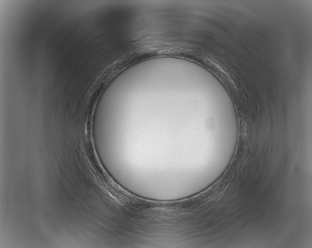 X0000083650733200702120835
