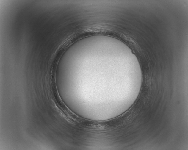 X0000083650735200702120835