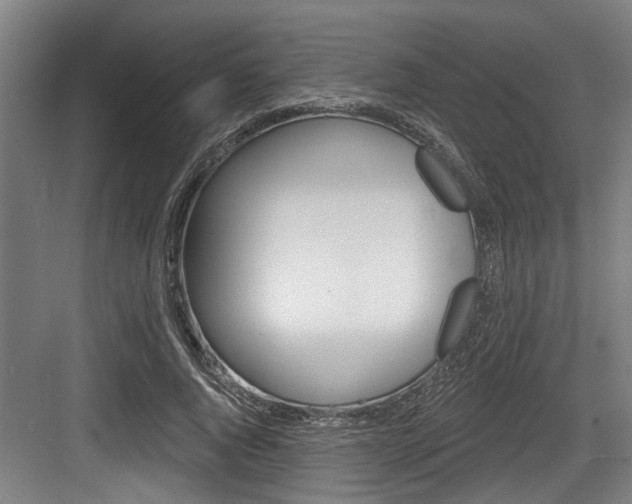 X0000083650736200702120836