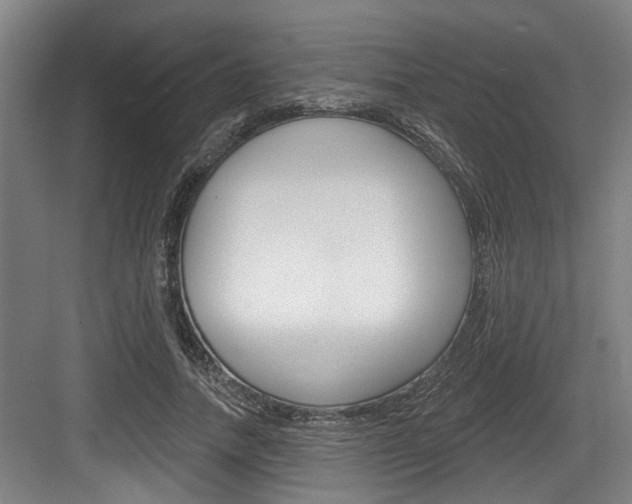 X0000083650738200702120836