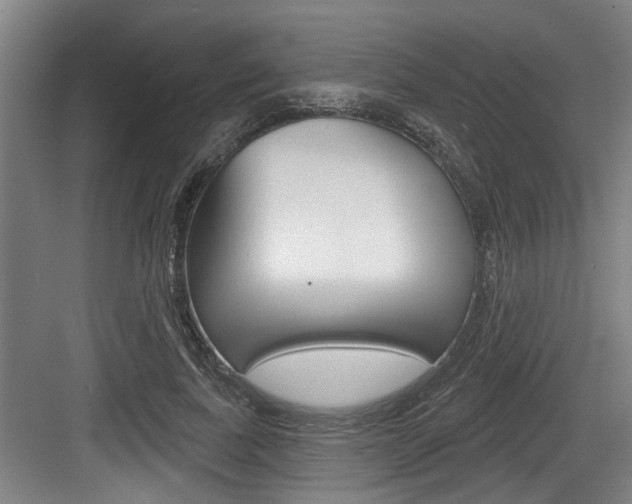 X0000083650739200702120836