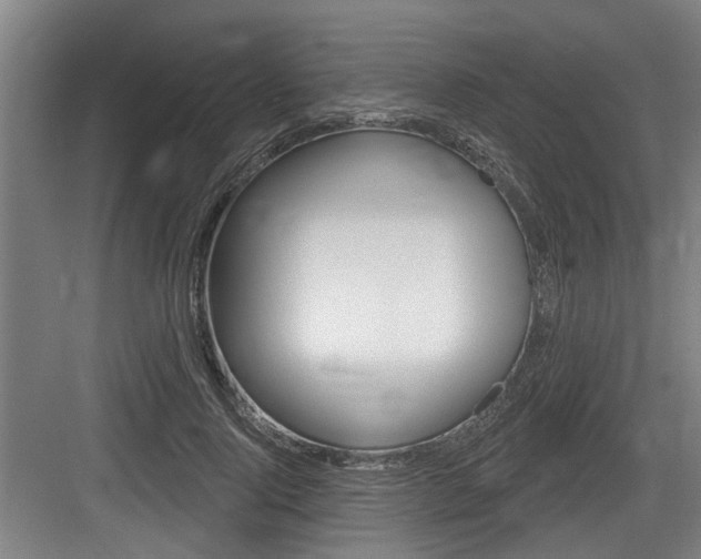 X0000083650740200702120836