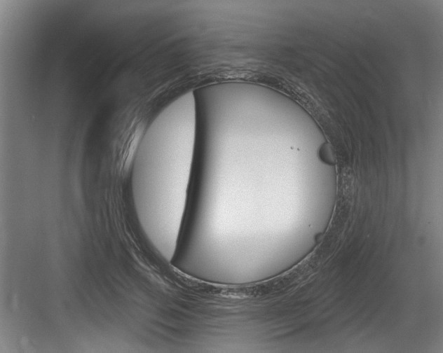 X0000083650741200702120836