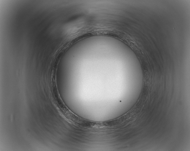 X0000083650742200702120836