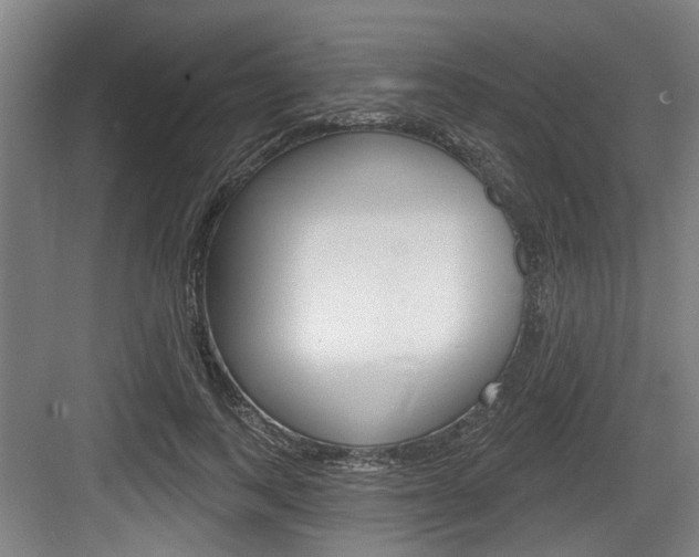 X0000083650743200702120836