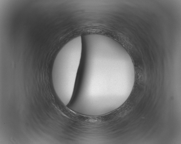 X0000083650745200702120836