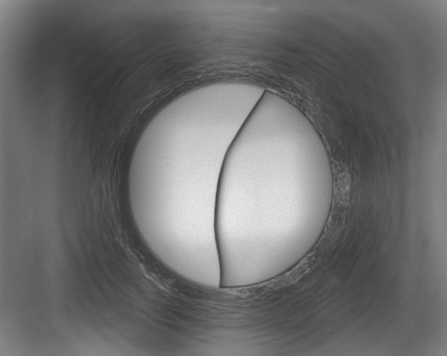 X0000083650746200702120836