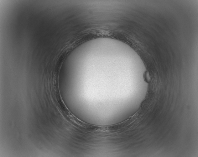 X0000083650747200702120836