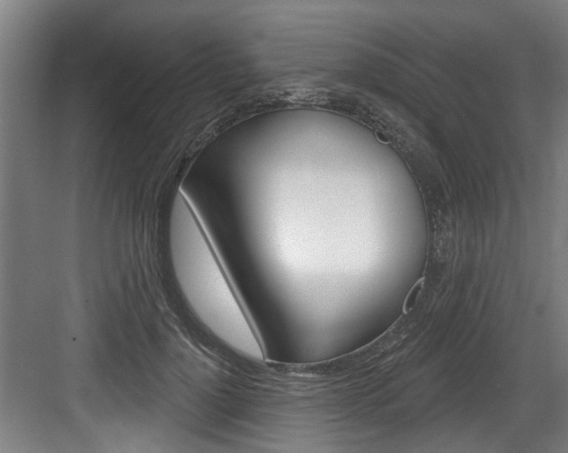 X0000083650748200702120836