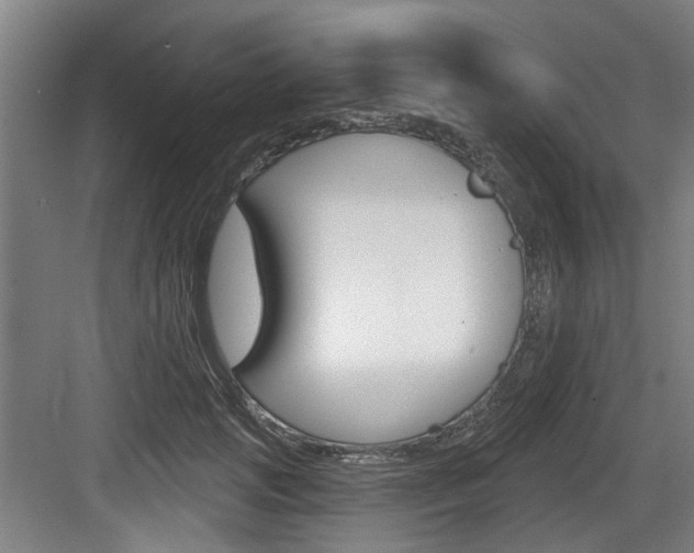 X0000083650749200702120836