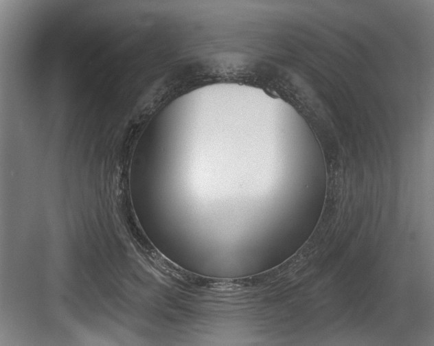X0000083650750200702120836