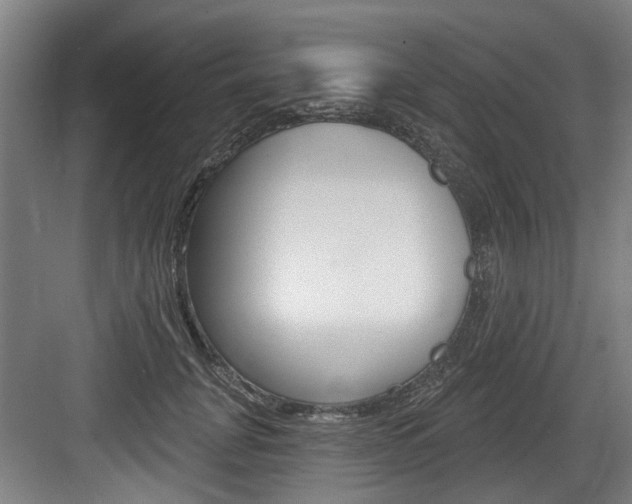 X0000083650751200702120836