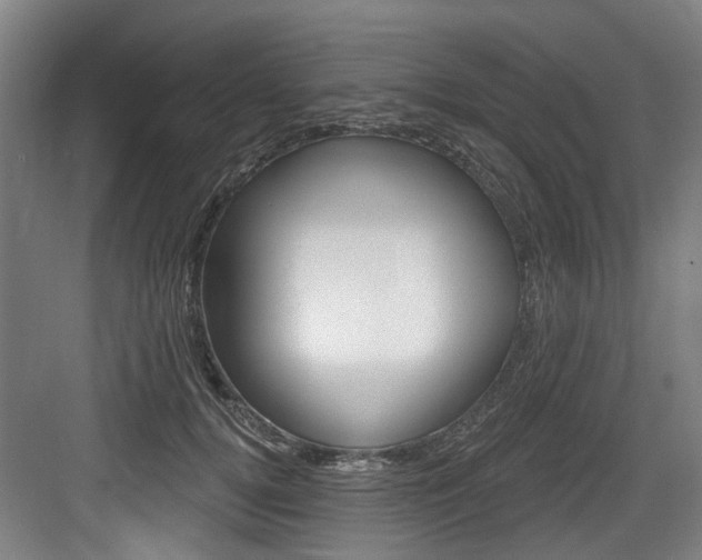 X0000083650752200702120836