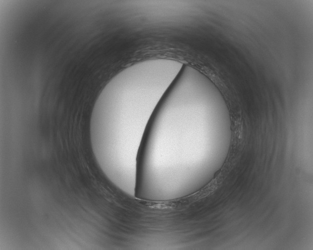 X0000083650754200702120836
