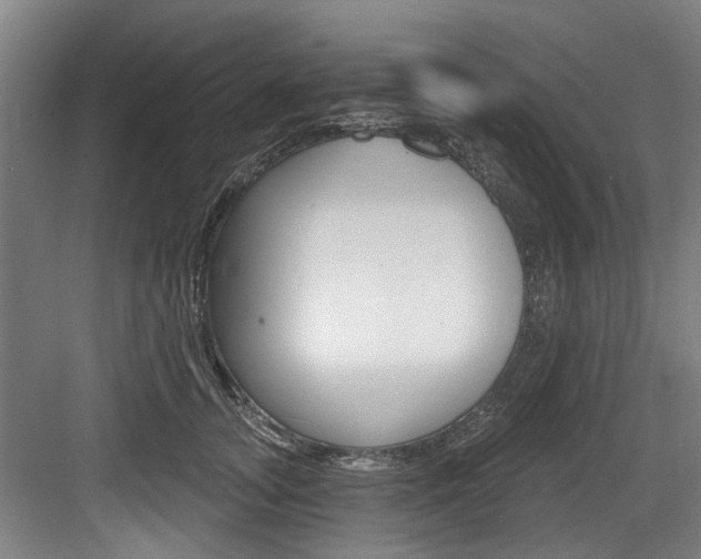 X0000083650755200702120836