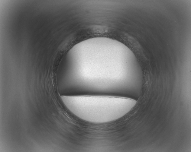 X0000083650758200702120836