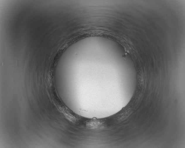 X0000083650759200702120836