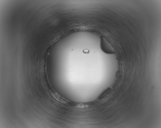 X0000083650760200702120836