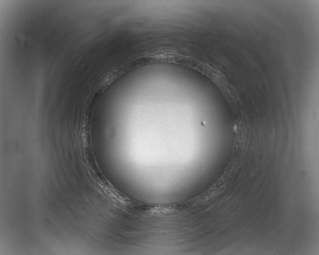 X0000083650762200702120836