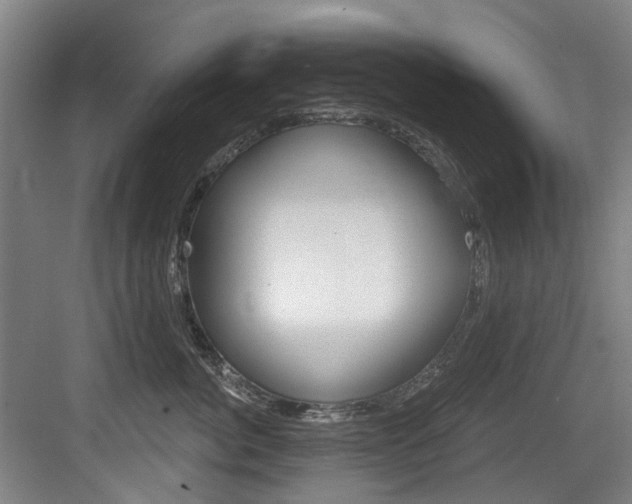 X0000083650764200702120836