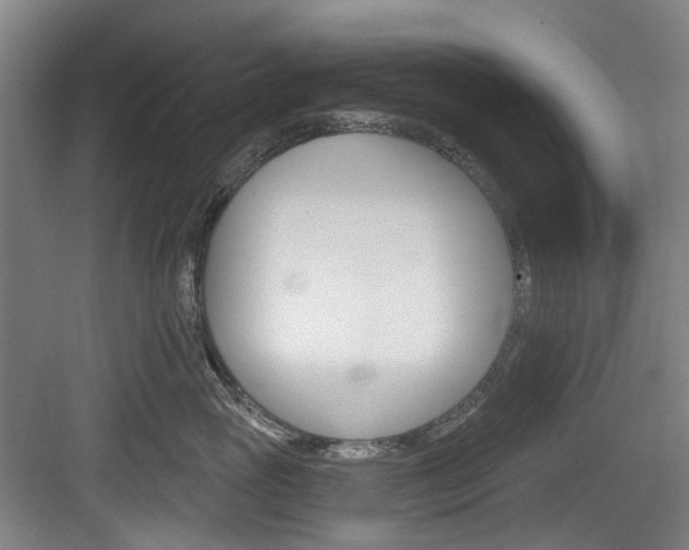 X0000083650765200702120836