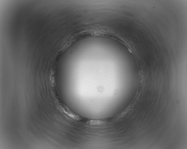 X0000083650766200702120836