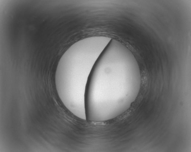 X0000083650767200702120836