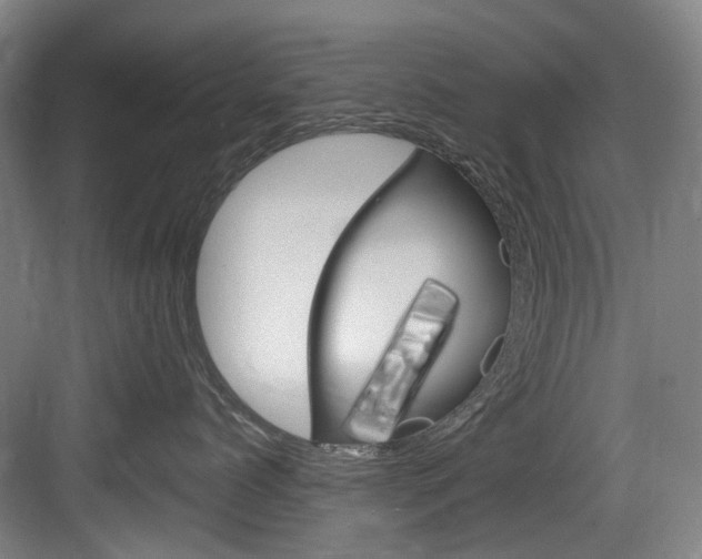X0000083650768200702120836