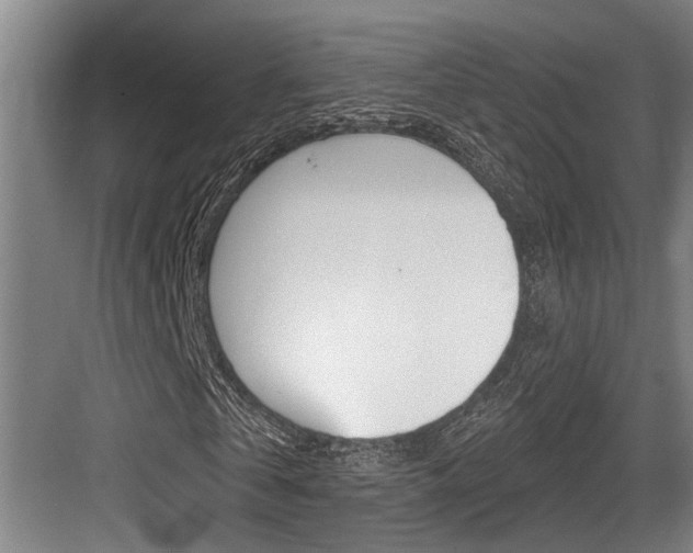 X0000083650769200702120835
