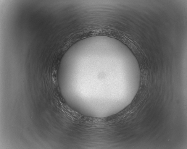 X0000083650770200702120835