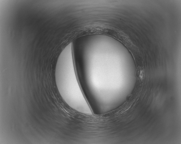 X0000083650771200702120835