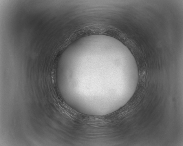 X0000083650772200702120835