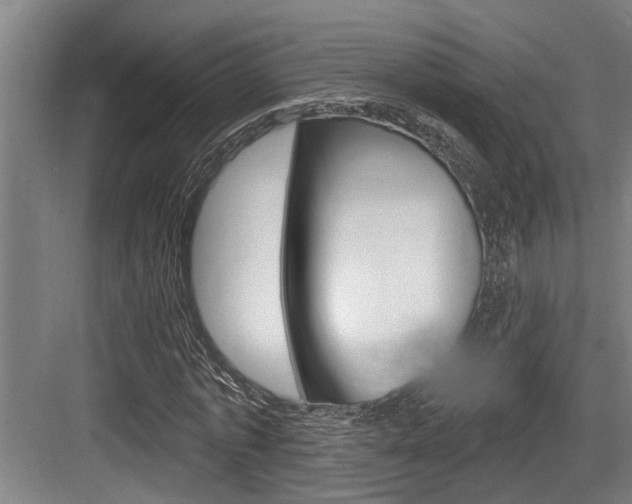 X0000083650773200702120835
