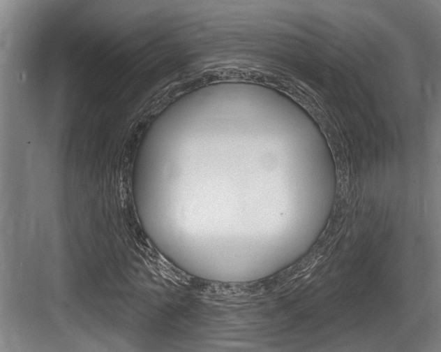 X0000083650774200702120835