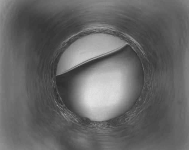 X0000083650775200702120835