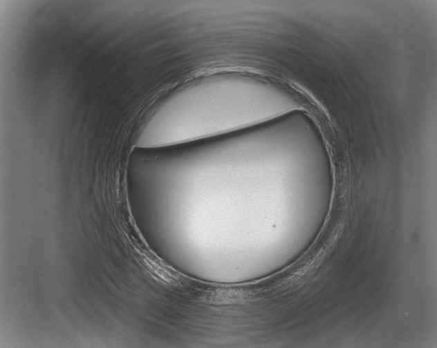 X0000083650777200702120835