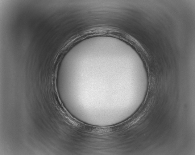 X0000083650778200702120835