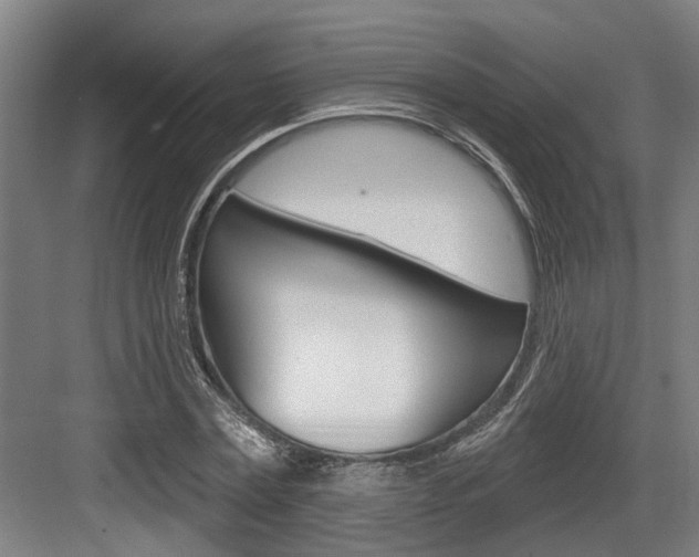 X0000083650779200702120835