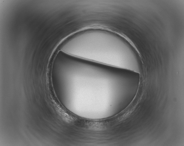 X0000083650783200702120835