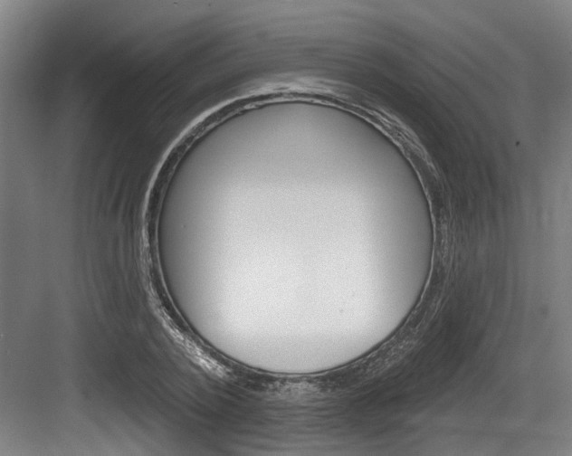 X0000083650784200702120835