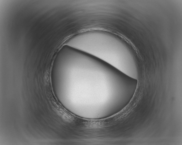 X0000083650785200702120835