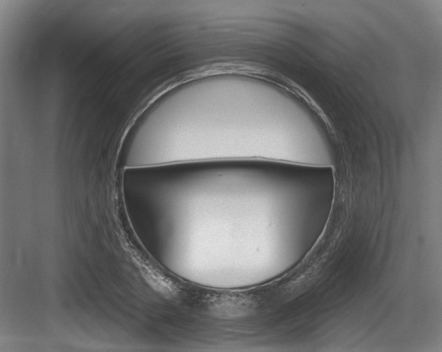 X0000083650786200702120835