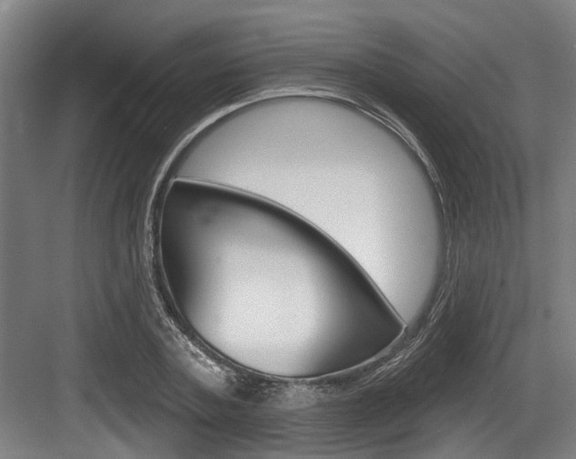 X0000083650787200702120835