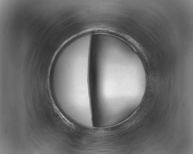 X0000083650791200702120835
