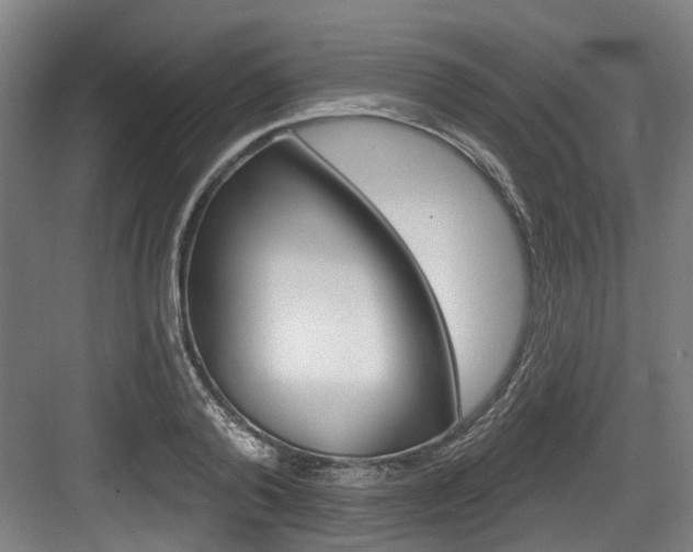 X0000083650792200702120835