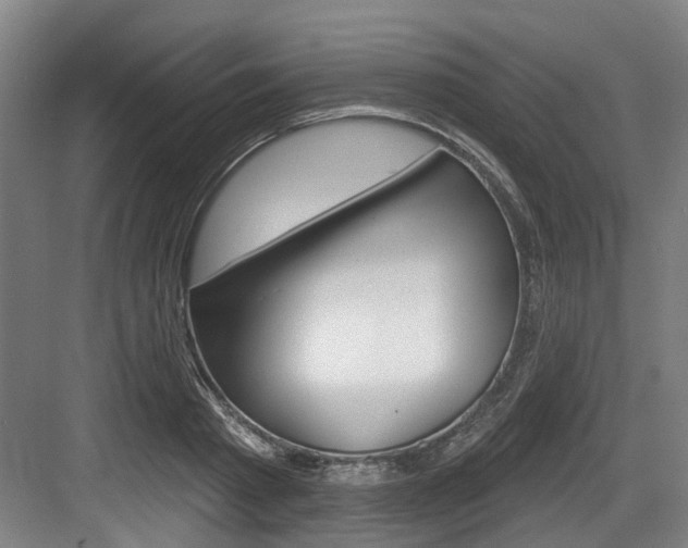 X0000083650793200702120835