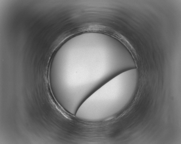 X0000083650794200702120835